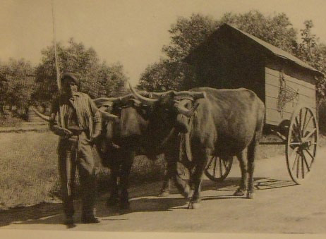 Choças na Beira Baixa – A Casa&nbsp;Politética