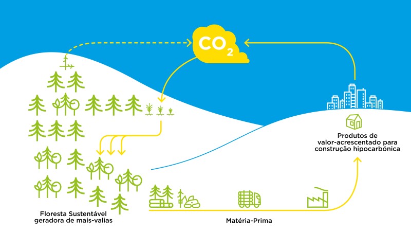 Ciclo-03-02 (Custom).jpg