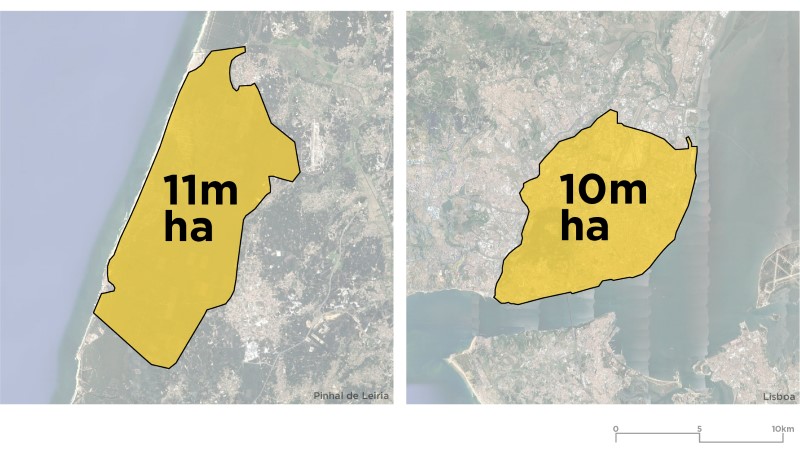 Comparação de Áreas-01-01 (Custom).jpg